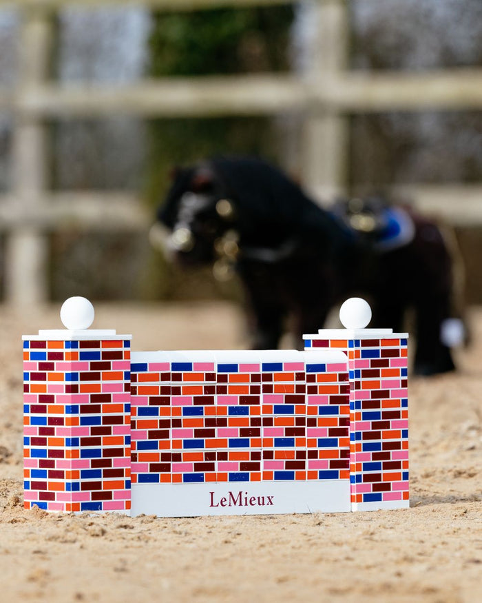 Multi coloured LeMieux Toy Pony Puissance Wall on sand background #colour_multi