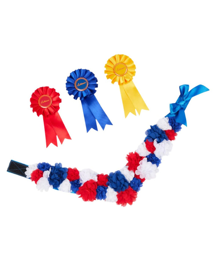 Multi Coloured LeMieux Toy Pony Rosette Pack On A White Background #colour_multi
