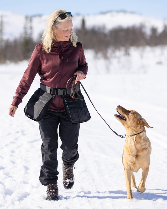 Black Dark Anthracite Coloured Pinewood Dog Sports Utility Belt on snow background #colour_black-dark-anthracite