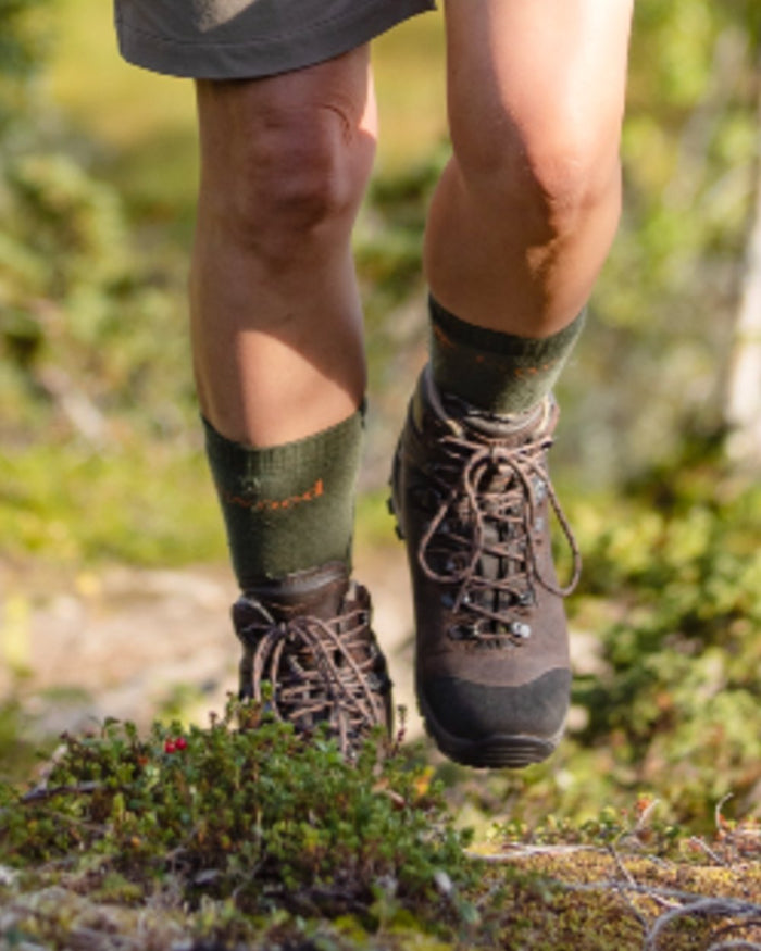 Olive coloured Pinewood Insectsafe Long Socks on outdoor background #colour_olive