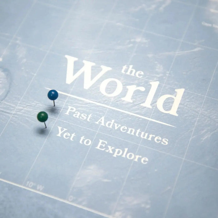 Push Pin World Map Pin Board - Natural Earth - Pins Included! - Liza Pruitt