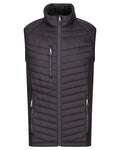 Black Seal Grey coloured Regatta Mens Navigate Hybrid Bodywarmer on white background #colour_black-seal-grey