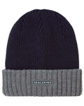 Navy coloured Sealskinz Bacton Waterproof Roll Cuff Beanie on white background #colour_navy