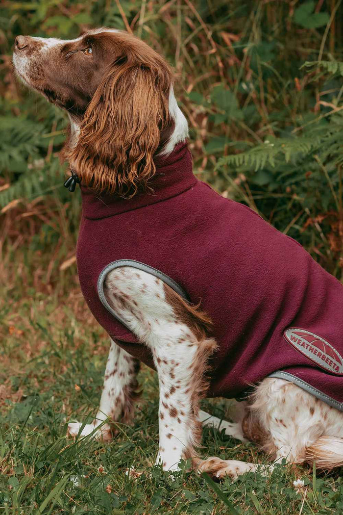 WeatherBeeta Comfitec Fleece Zip Dog Coat in Maroon/Grey #colour_maroon-grey