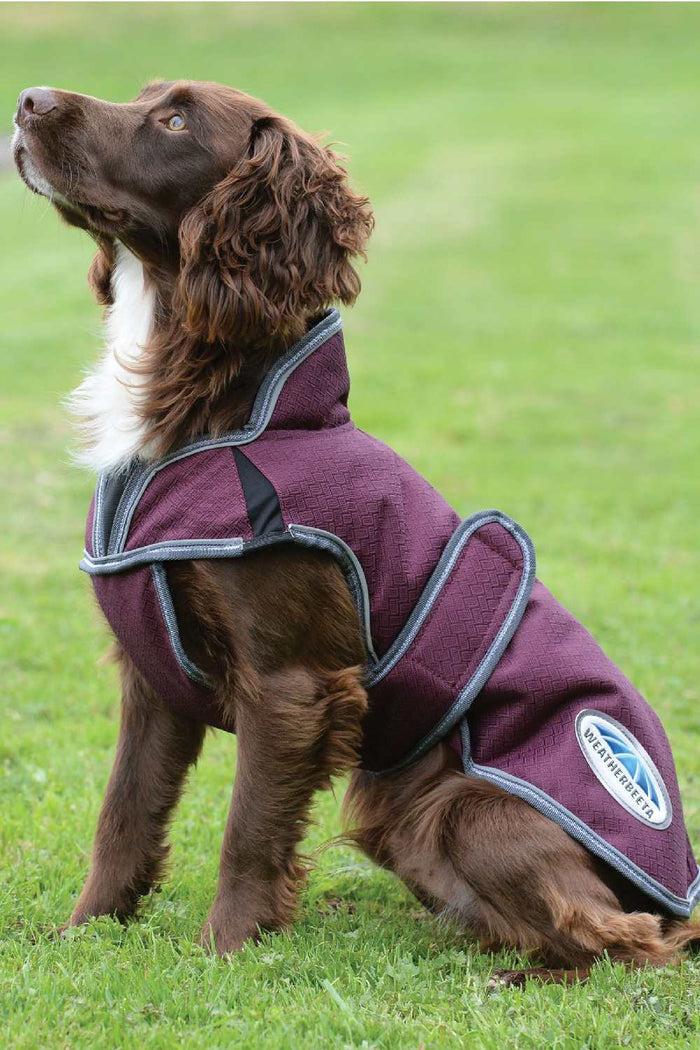 WeatherBeeta Comfitec Premier Free Parka Deluxe Dog Coat in Maroon/Grey/White #colour_maroon-grey-white