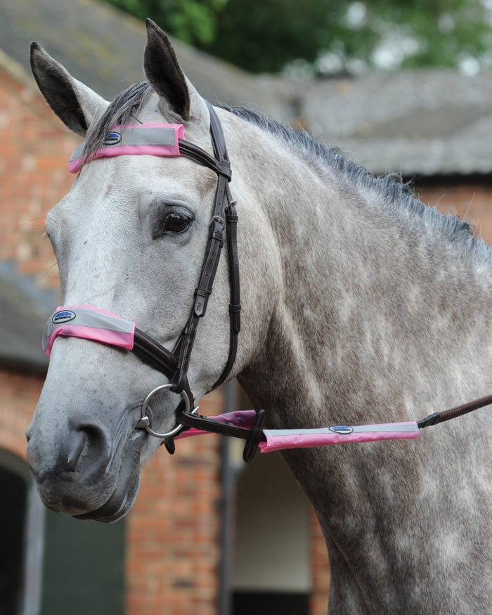 Pink coloured WeatherBeeta Reflective Bridle Kit 4 Pieces on blurry background #colour_pink