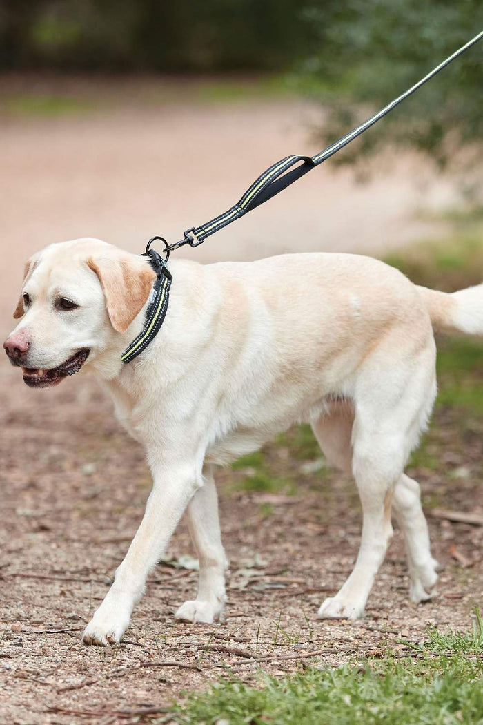 WeatherBeeta Reflective Dog Lead in Yellow/Black #colour_yellow-black
