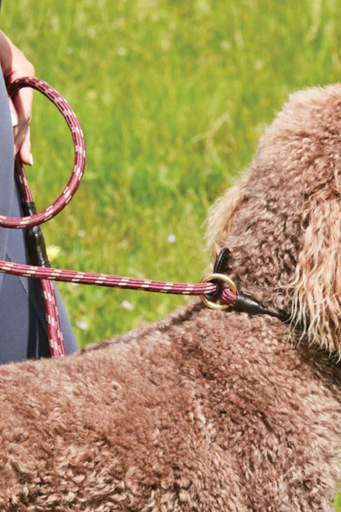 WeatherBeeta Rope Leather Slip Dog Lead in Burgundy/Brown #colour_burgundy-brown