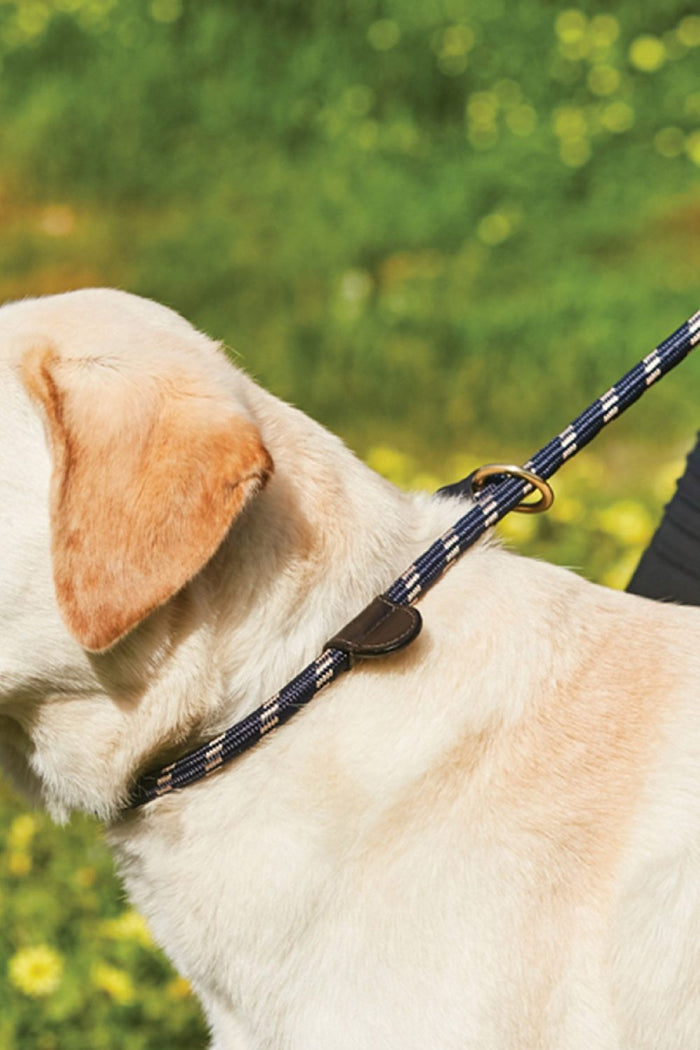 WeatherBeeta Rope Leather Slip Dog Lead in Navy/Brown #colour_navy-brown
