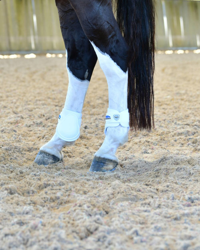 White Coloured WeatherBeeta Tough-Tec Prime Fetlock Boots on horse background #colour_white