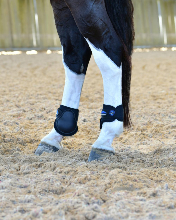 Black Coloured WeatherBeeta Tough-Tec Prime Fetlock Boots on horse background #colour_black