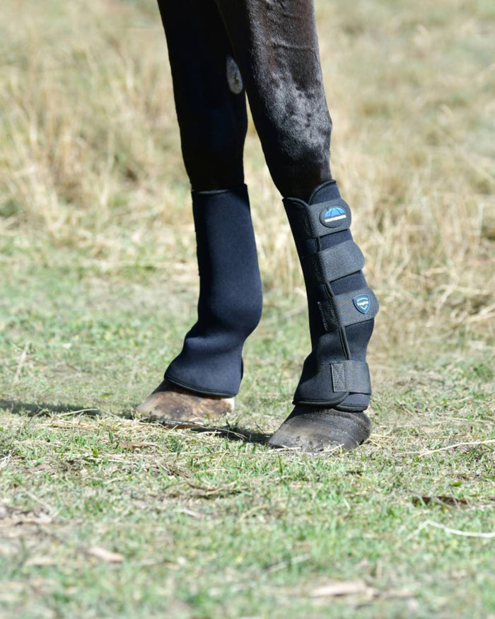 Black Blue Coloured WeatherBeeta Tough-Tec Turnout Boots on horse background #colour_black-blue